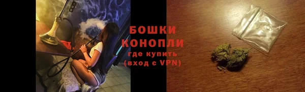 индика Беломорск