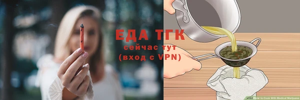 индика Беломорск